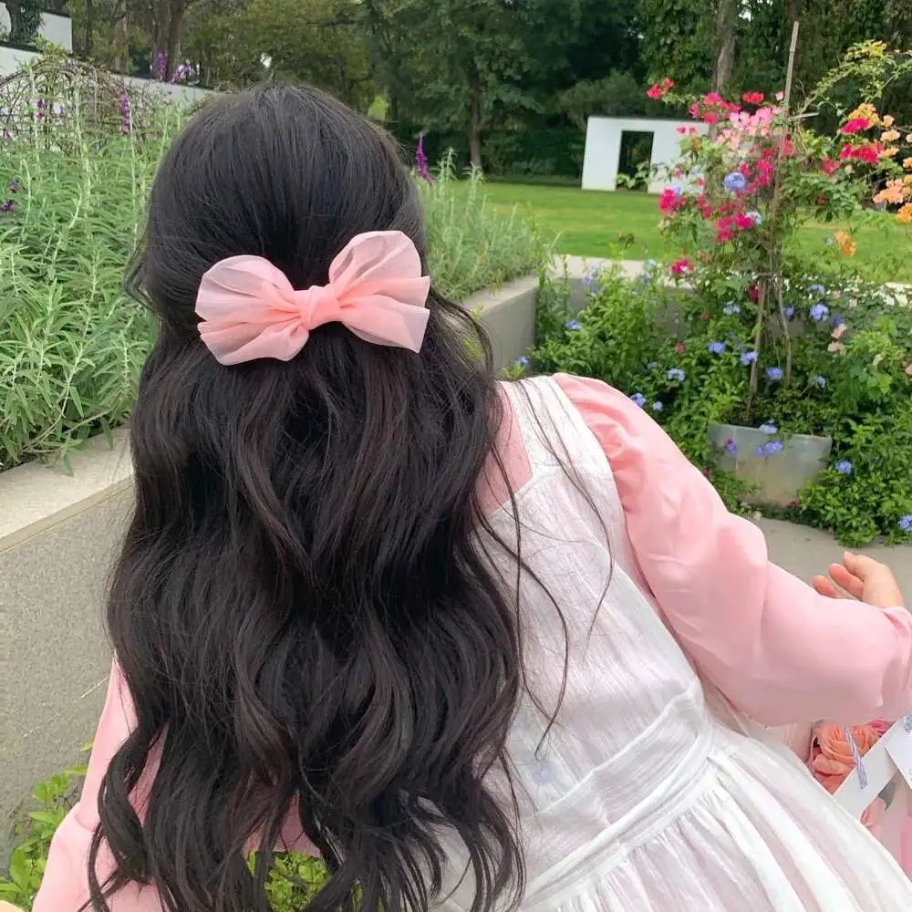 波士顿布莱奇控告嫌疑人