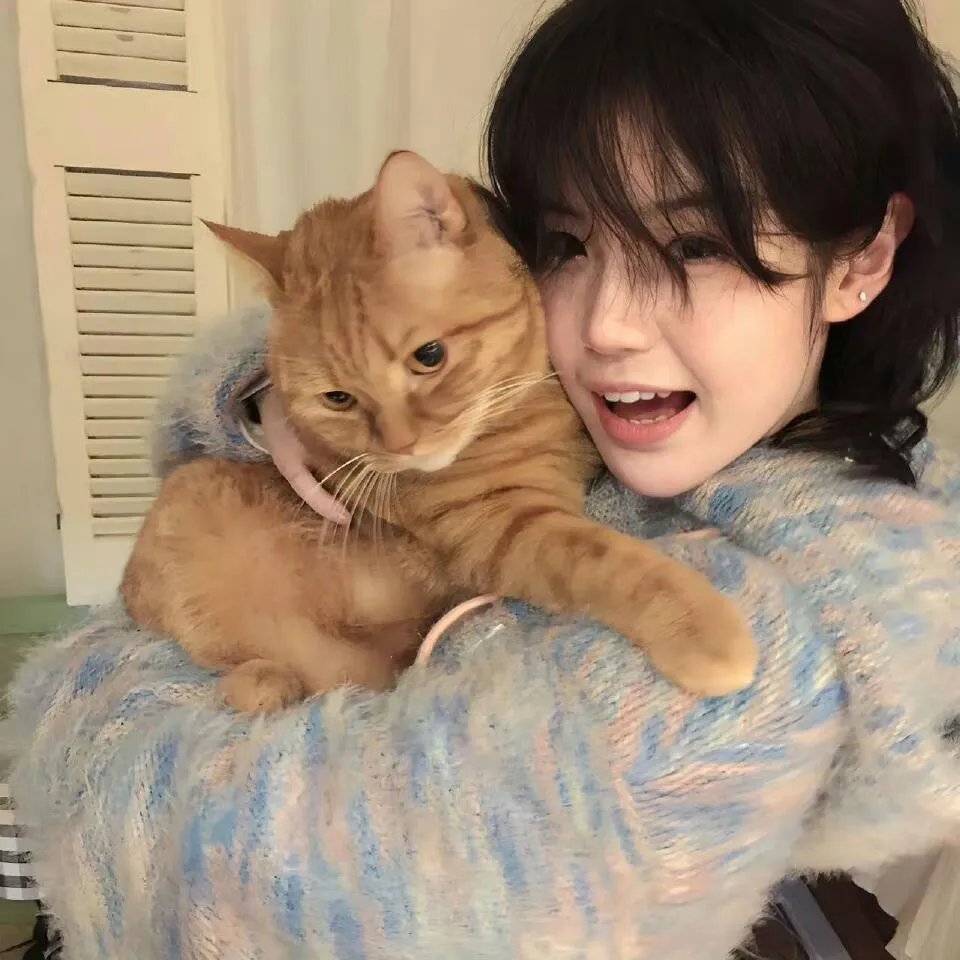 蜡笔小新：宇宙人Pi力来袭！！